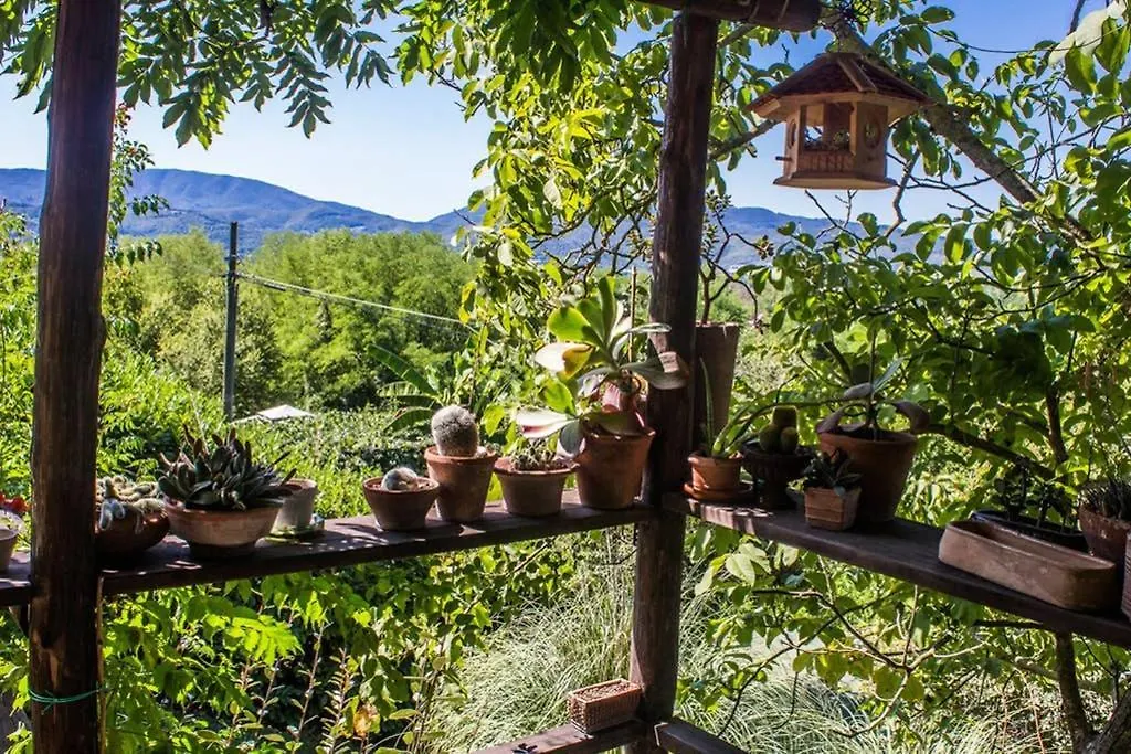Holiday home Tuscan Hills - Stonehouse, Garden & Pool Vicchio
