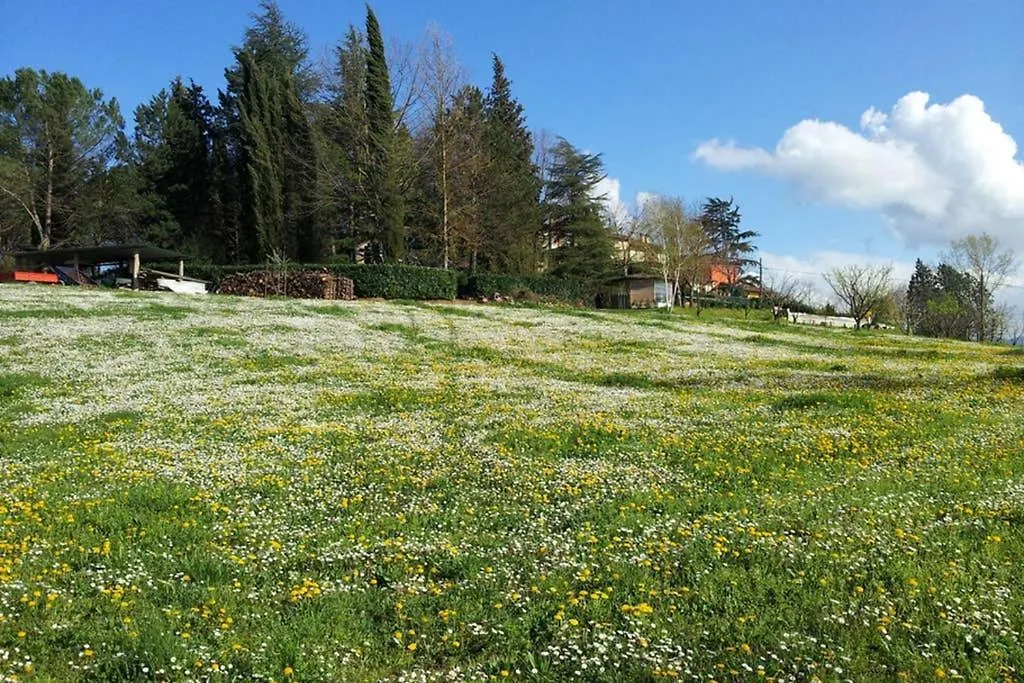 Tuscan Hills - Stonehouse, Garden & Pool Vicchio