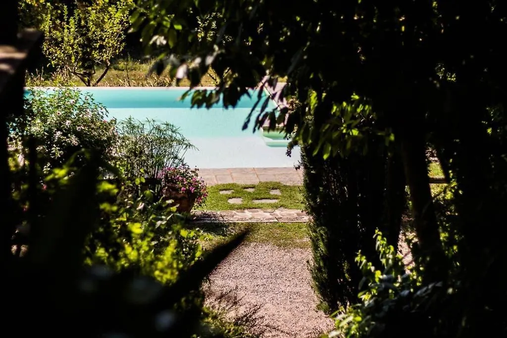 Tuscan Hills - Stonehouse, Garden & Pool Vicchio Italy