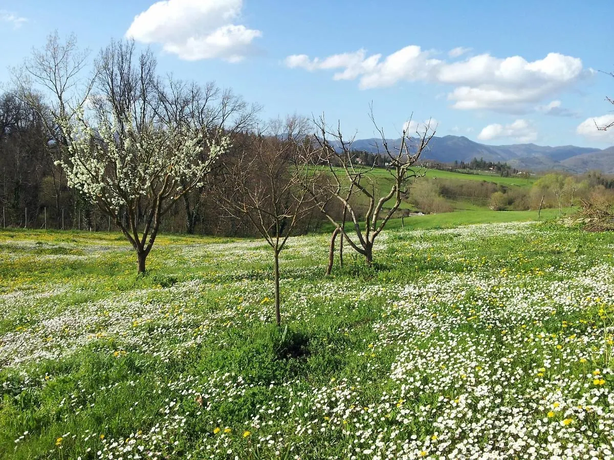 Holiday home Tuscan Hills - Stonehouse, Garden & Pool Vicchio Italy